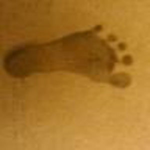 Meet your Posher, Leonardo